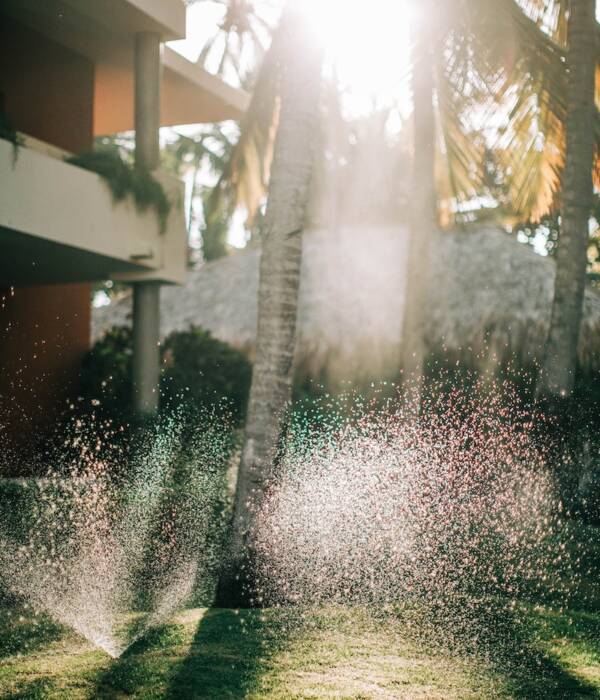 Sunlight Through Trees Near Green Grass With Water Sprinklers