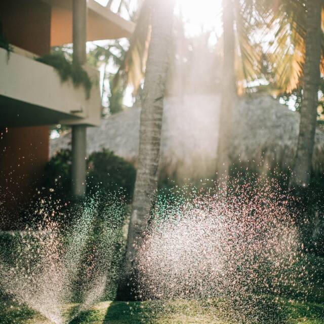 Sunlight Through Trees Near Green Grass With Water Sprinklers